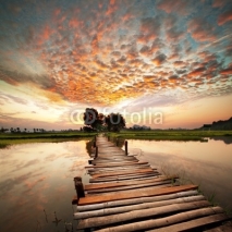Fototapety River on sunset
