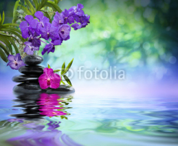 violet orchids, black stones on the water