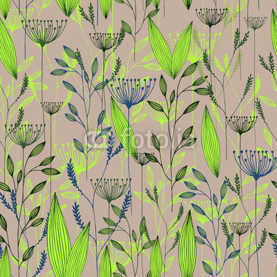 Vector grass seamless pattern. Illustration with herbs, botanical art