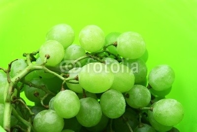 Image of bright green background with wet grape