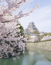 Naklejki Cherry blossoms and castle in spring, Japan