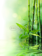 Naklejki bamboo stalks on water - blurs