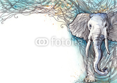 elephant