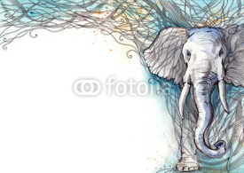 Fototapety elephant