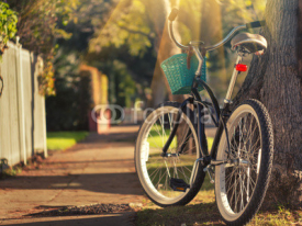 Rower w stylu retro na słonecznej uliczce w parku