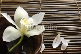bowl of orchid, petal on bamboo mat
