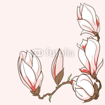 Naklejki Vector hand drawn magnolia flowers frame