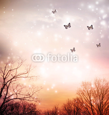 Butterflies on red trees background