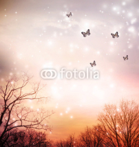 Obrazy i plakaty Butterflies on red trees background