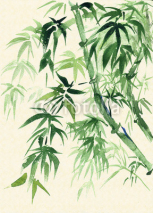 Naklejki Green Bamboo, painted in watercolor in oriental style