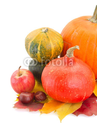 raw pumpkins and fall leaves