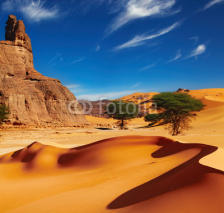 Naklejki Sahara Desert, Algeria