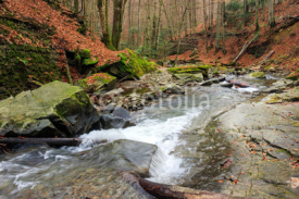 Naklejki forest river with stones and moss