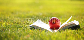 Fototapety Back to School. Open Book and Apple on Green Grass.