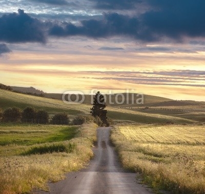 Rural Road Sunset