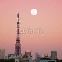 Naklejki Tokyo Tower