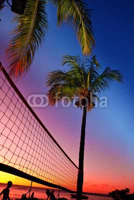 Grid for beach volleyball between palm trees at a sunset
