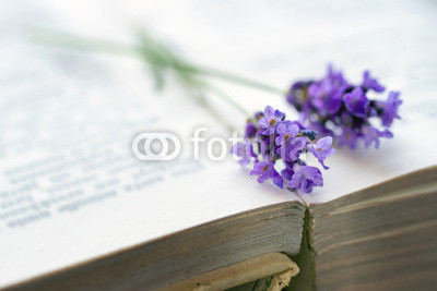 Open book with blue lavender