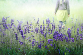 Naklejki Lavendelfeld