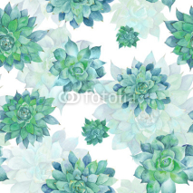 Fototapety Watercolor Turquoise Succulent Pattern