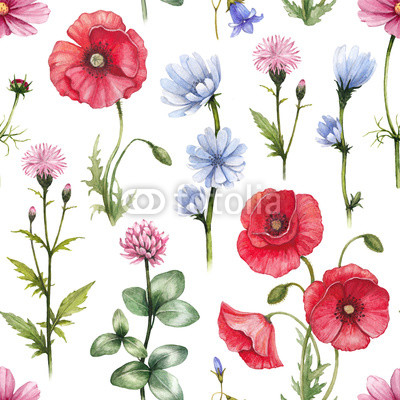 Wild flowers illustrations. Watercolor seamless pattern