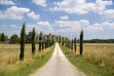 Path leas to a beautiful house in Chianti, tuscany.