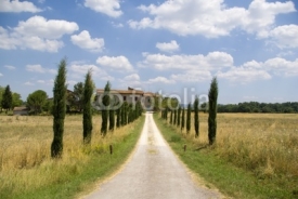 Fototapety Path leas to a beautiful house in Chianti, tuscany.