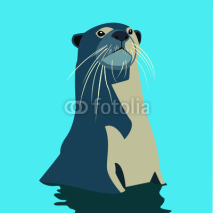 Fototapety blue otter