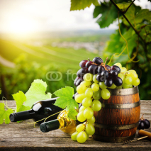 Fototapety Bottles of red and white wine with fresh grape