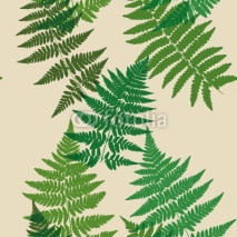Obrazy i plakaty Seamless pattern of fern leaves. Vector.