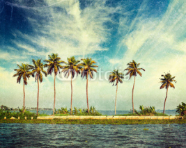 Naklejki Kerala backwaters