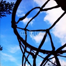Fototapety basketball