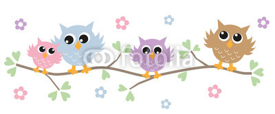 colorful owls header banner