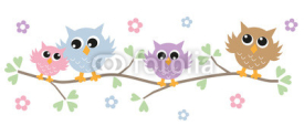 Naklejki colorful owls header banner