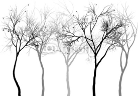Naklejki foggy forest, vector