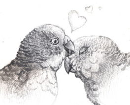 Fototapety couple of lovers parrots