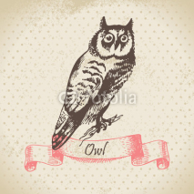 Naklejki Owl bird, hand-drawn illustration