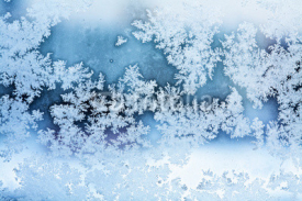 winter ice rime abstract background