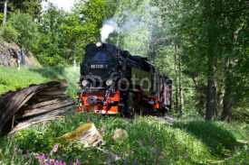Naklejki Selketalbahn Harz