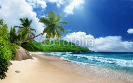 Fototapety beach at Mahe island,  Seychelles