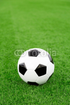 Naklejki Traditional soccer ball on soccer field