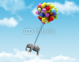 Naklejki An elephant being lifted by balloons