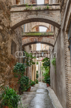 Obrazy i plakaty antique Italian alley