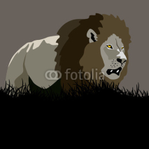 Naklejki Lion