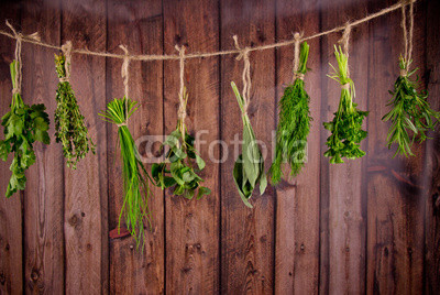 Fresh herbs hanging on wooden background