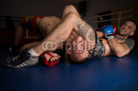 Fototapety Mixed martial artists before a fight