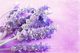 Naklejki Bunch of a lavender flowers on a purple vintage background