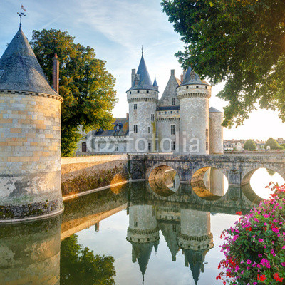 The chateau of Sully-sur-Loire, France