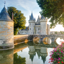 Fototapety The chateau of Sully-sur-Loire, France