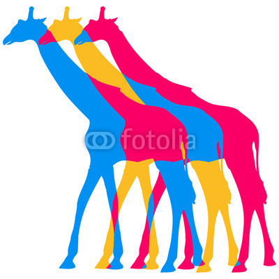 3 Giraffen Umriss Farben Bunt Gehen Design